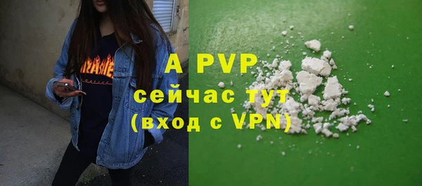 хмурый Абаза