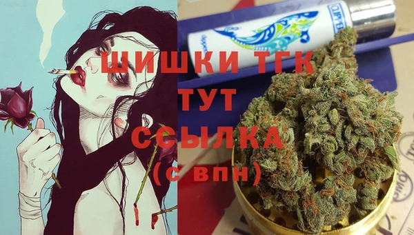 хмурый Абаза