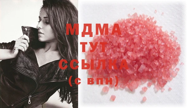 хмурый Абаза