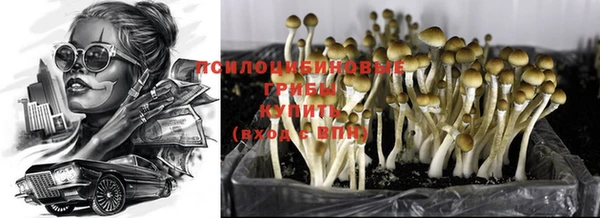 хмурый Абаза
