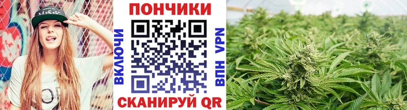 Каннабис план сайты даркнета как зайти Инта